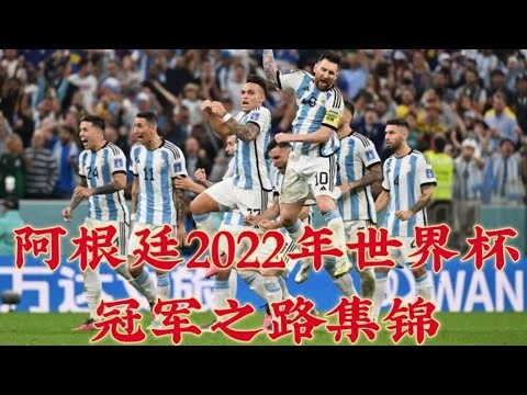 阿根廷队一比零险胜乌拉圭队夺得美洲杯冠军
