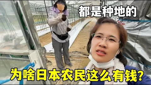 曼联教练力挺拉什福德，对球队决策表示疑虑